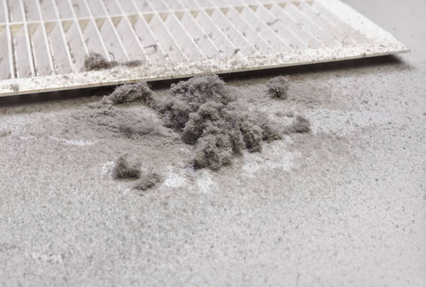 Air Duct Mold Removal in NE