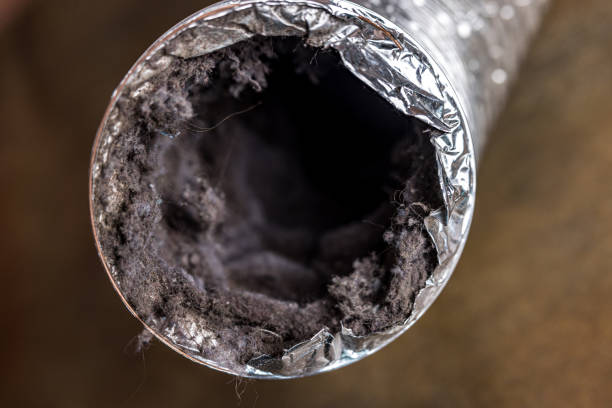 Best Best Air Duct Cleaning Company  in North Bend, NE
