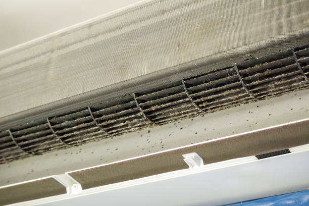 Best HVAC Duct Inspection Services  in North Bend, NE